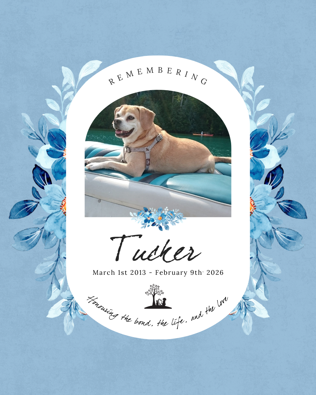 Tucker - March 1st 2013 to February 9th 2026