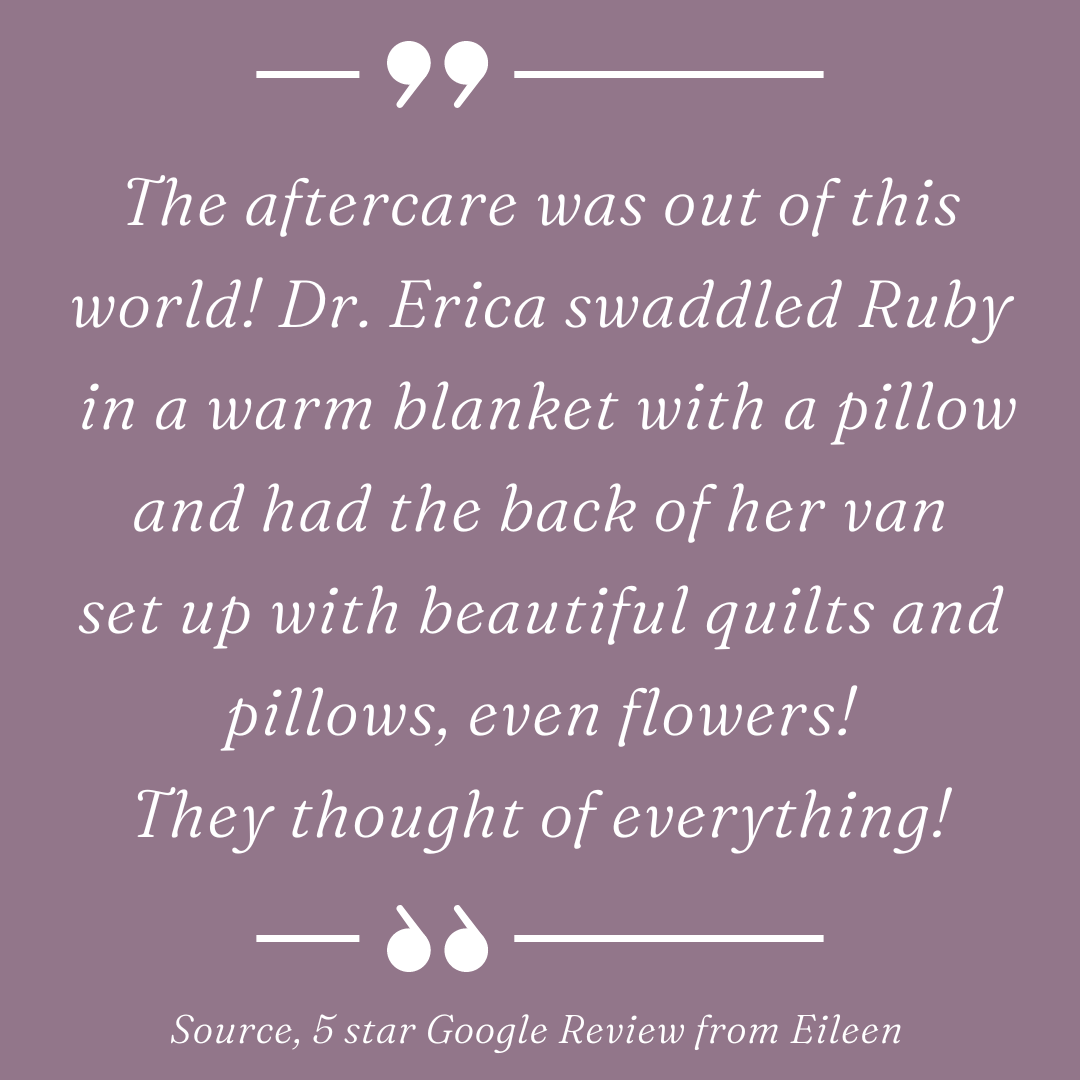 5-Star Review from Eileen: The aftercare was out of this world! Dr. Erica swaddled Ruby in a warm blanket with a pillow and had the back of her van set up with beautiful quilts and pillows, even flowers!  They thought of everything!