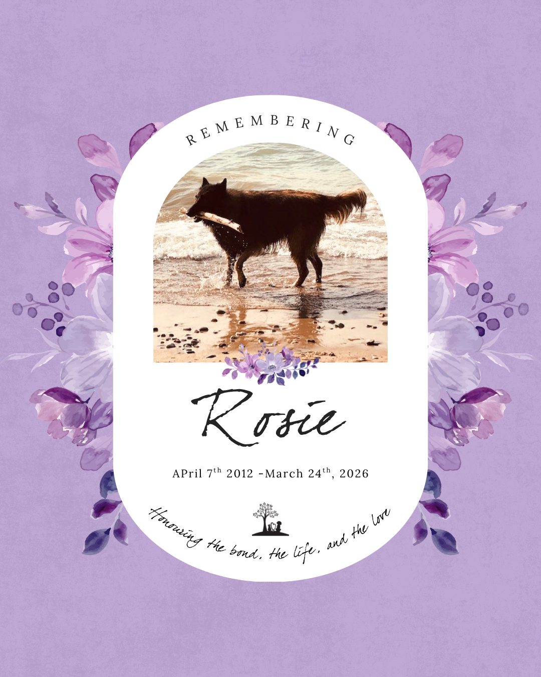 April 7th 2012 - March 24th 2026