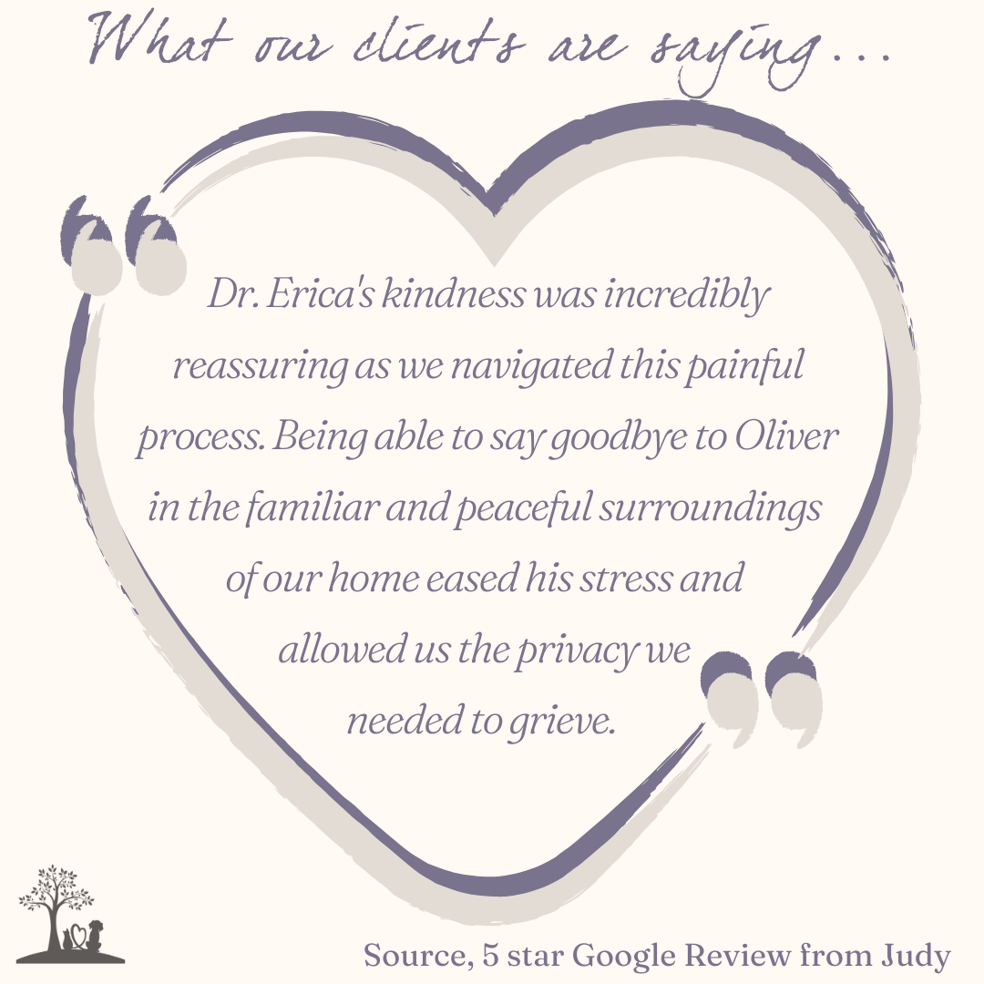 Home Euth experience page (2).png