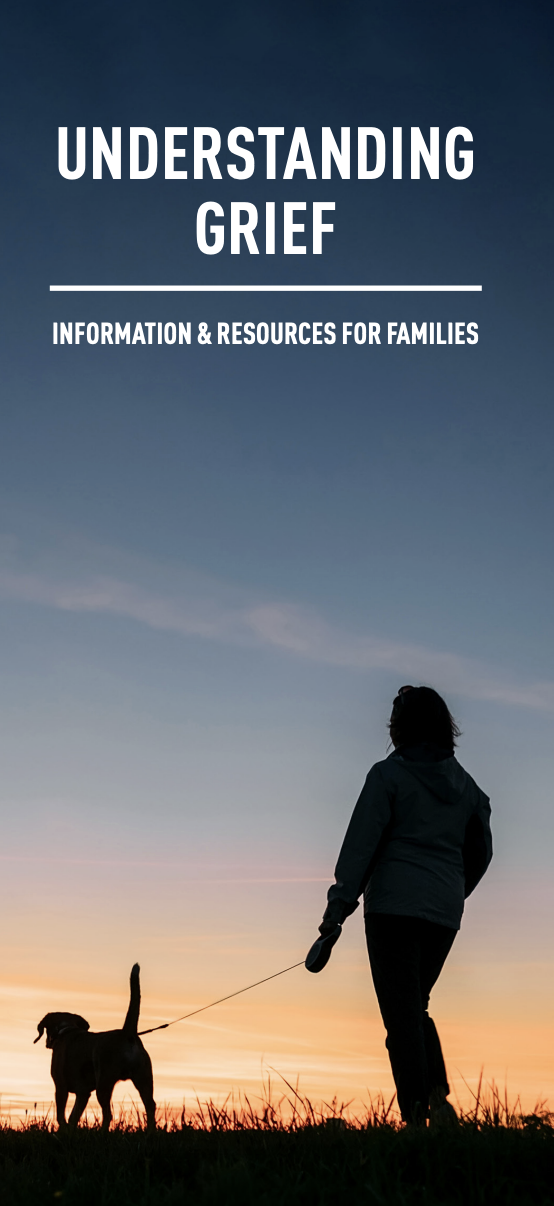 A silhouette image of a person walking their dog on leash in a field by the sunset