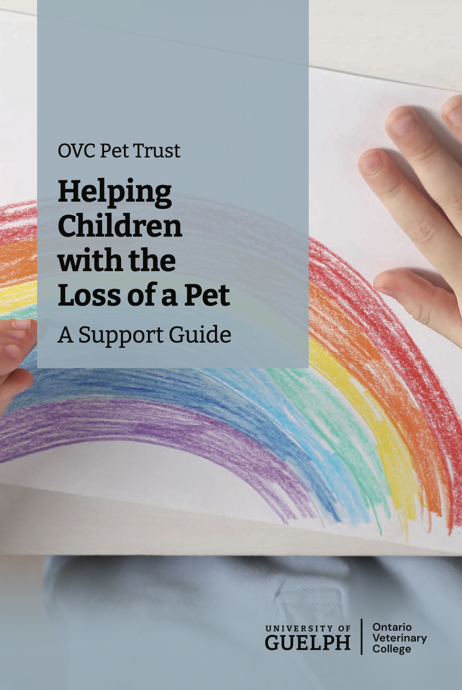 A support guide helping children cope featuring the hands of a child drawing a rainbow with crayons on a white paper - art therapy may be helpful for kids dealing with the death of their pet