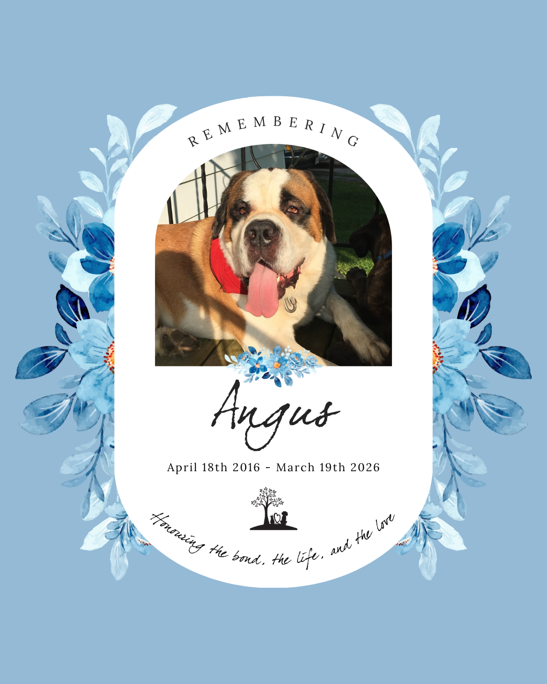 April 18th 2016 - March 19th 2026