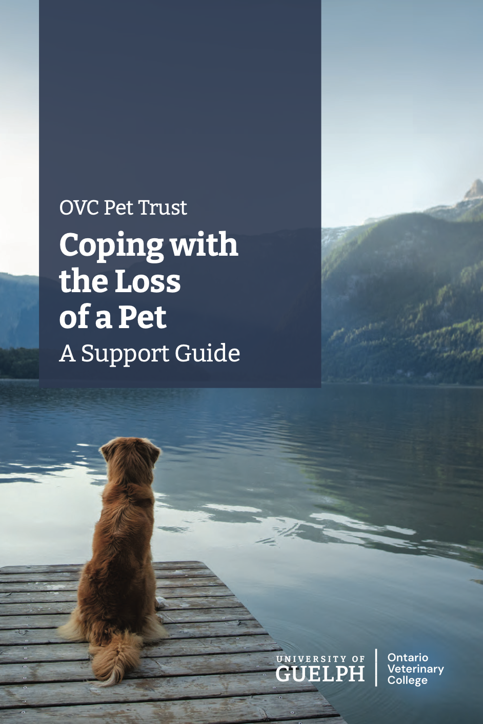 A support guide titled coping with the loss of a pet featuring a Golden Retriever sitting on a dock facing a body of water and mountains in the distance