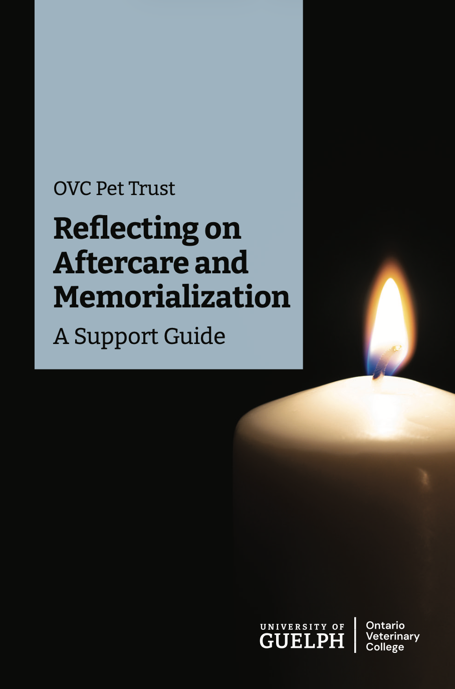 A support guide reflecting on pet aftercare and memorialization featuring a lit candle and a black background - finding ways to honour the bond shared with your pet that resonate with you