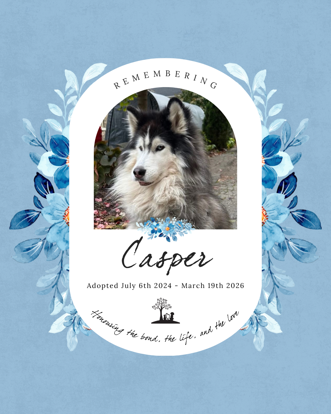 Adopted July 6th 2024 - March 19th 2026