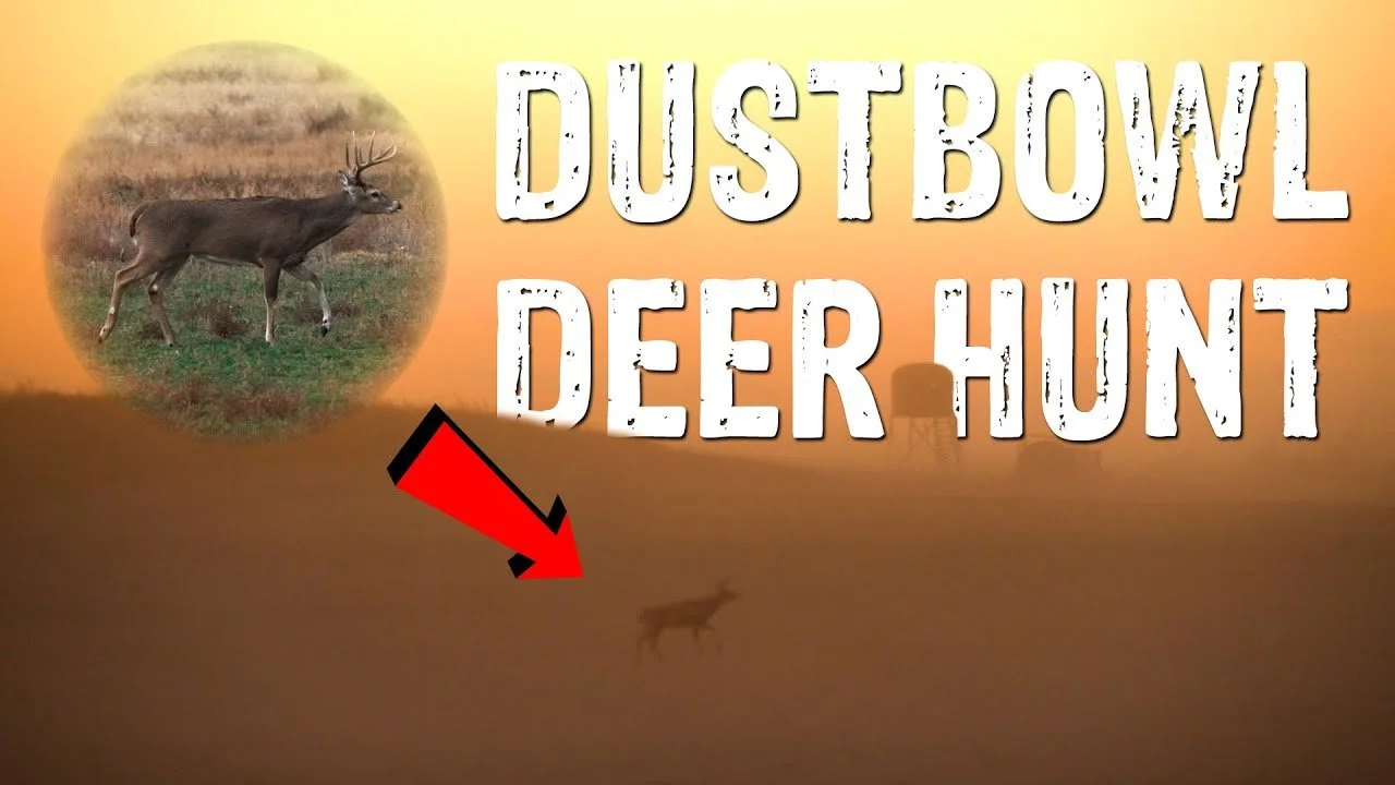 Killing a deer in a TORNADO?