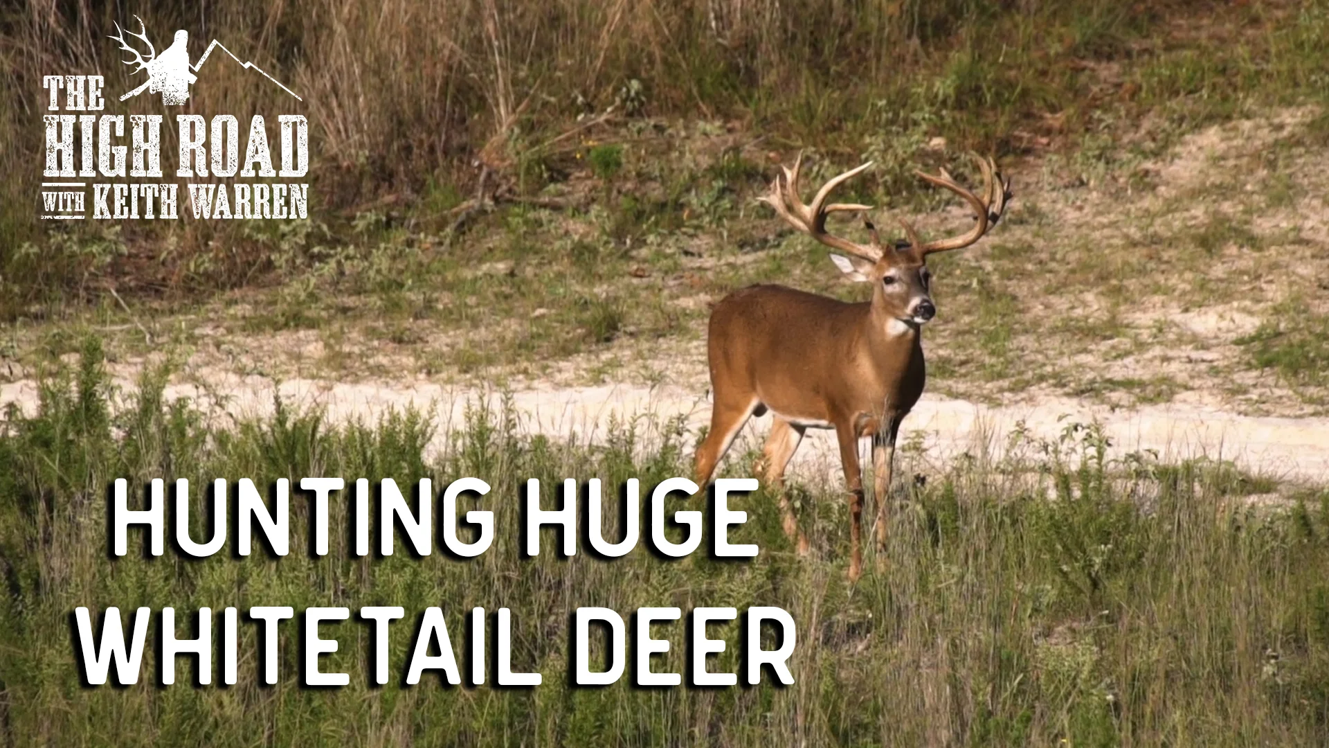 Hunting Huge Whitetail Deer & Management Secrets