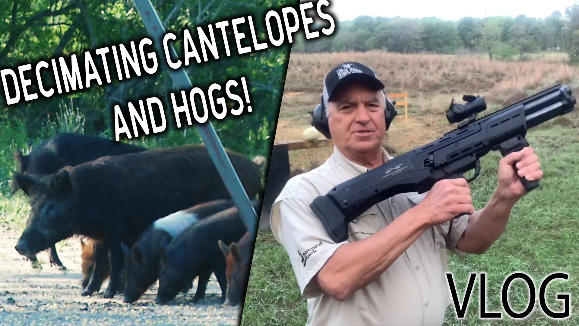 Hog Hunting with AIR GUN and DP-12 SHOTGUN MADNESS | VLOG