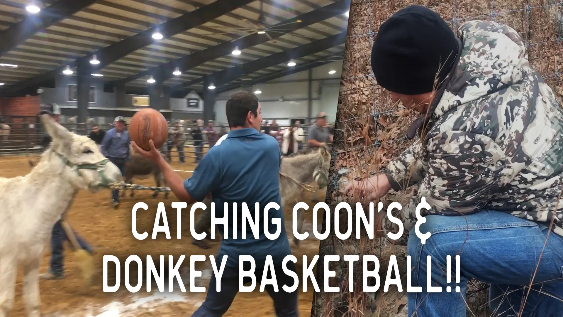 Hunting Raccoons, Eating Crawfish and DONKEY Basketball! | VLOG