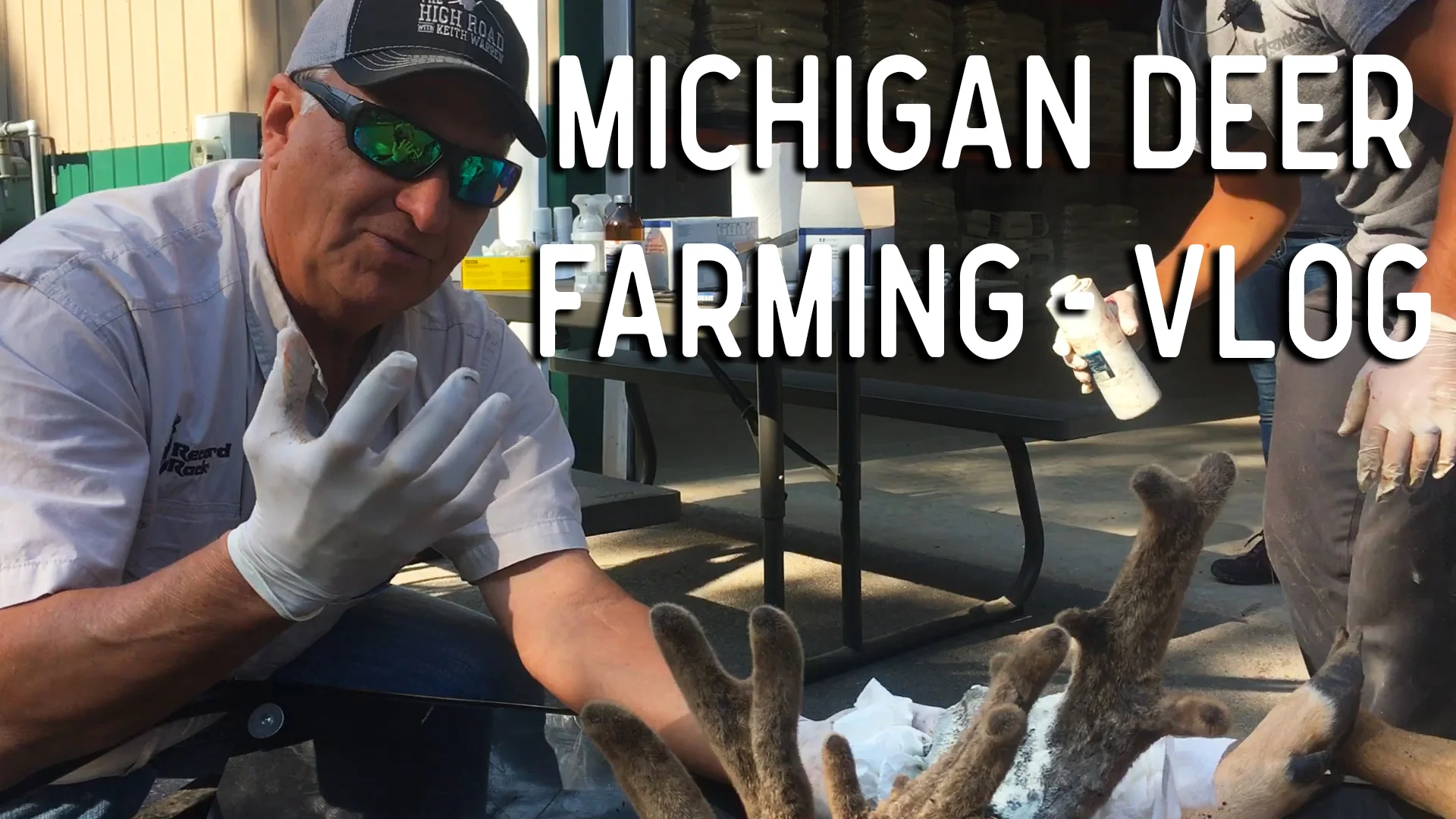 Cutting Deer Antlers and Feeding Fawns Michigan Style | VLOG