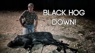 Big South Texas Boar Hunting - Black Hog Down!