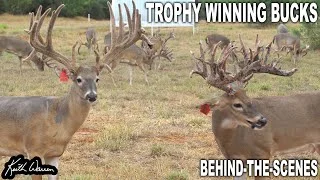 Working Deer at G2 Ranch | VLOG