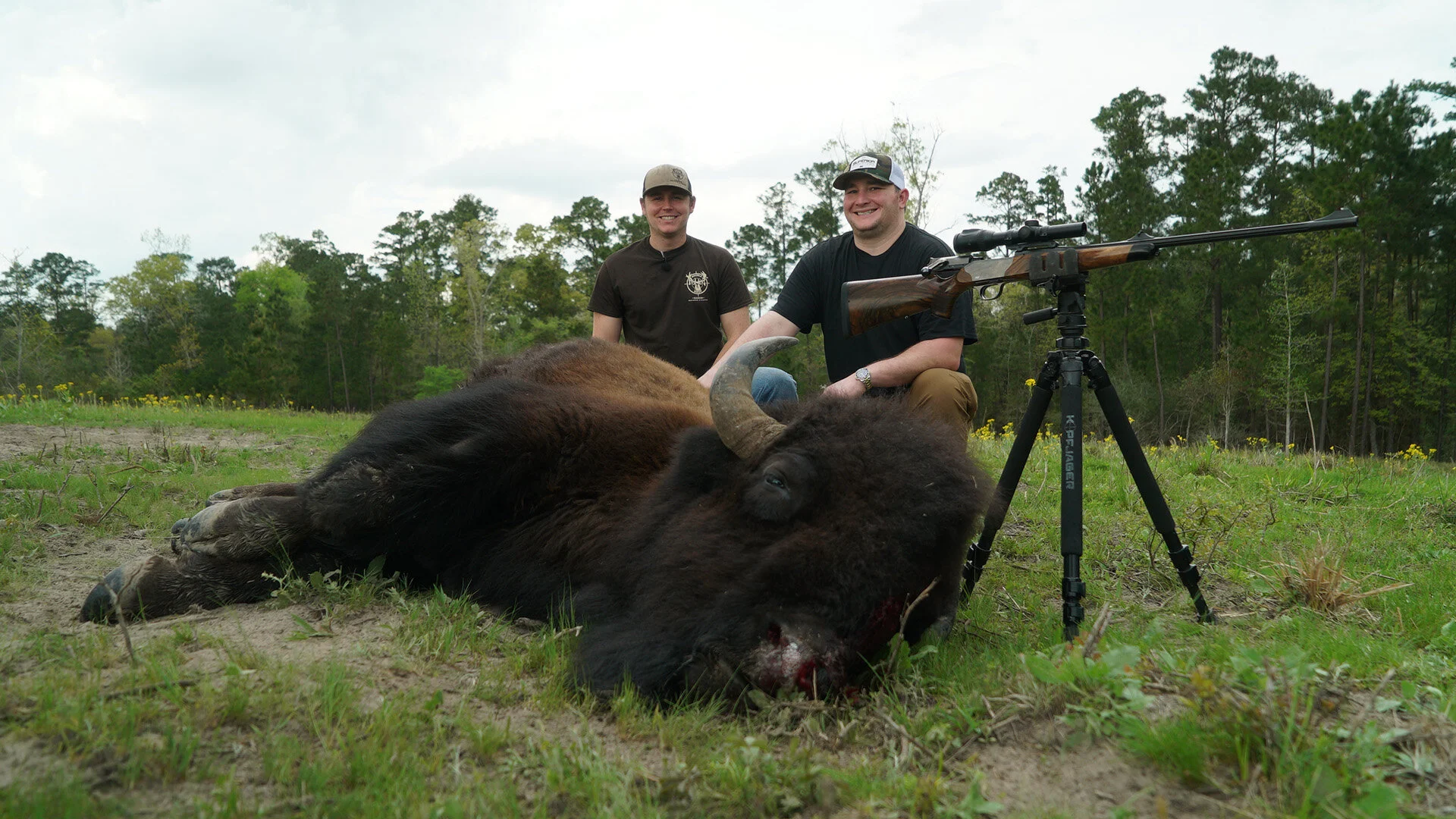 DoubleDropBison2.jpg