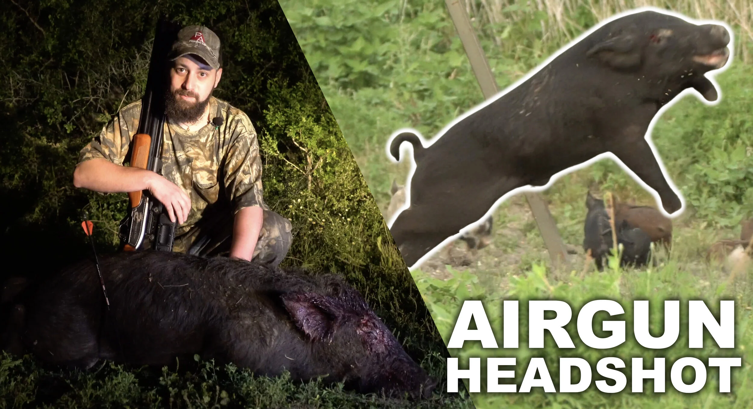 .50 Cal Air Gun Headshot on Hog!