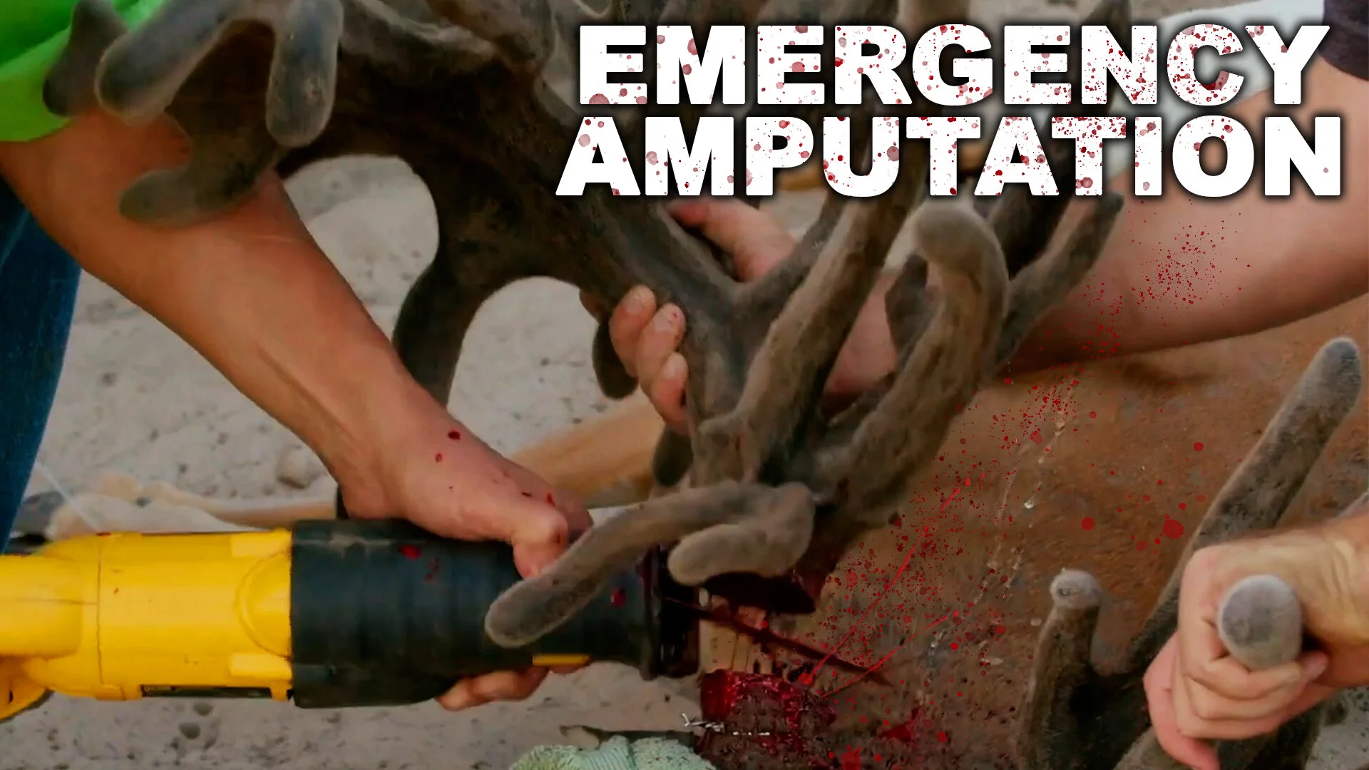 I SLICED the antlers off 4 MONSTER BUCKS! | Emergency Amputation