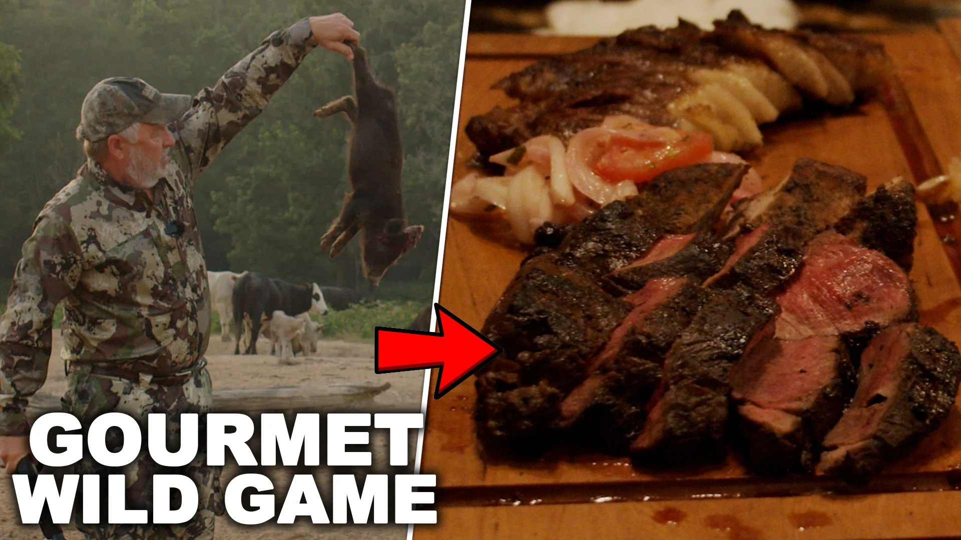 How to get the MOST out of your GAME MEAT!