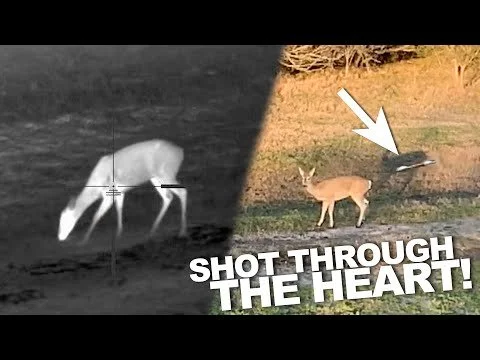 CRUSHING Deer and Hogs with 50 CAL AIRGUN and THERMAL!