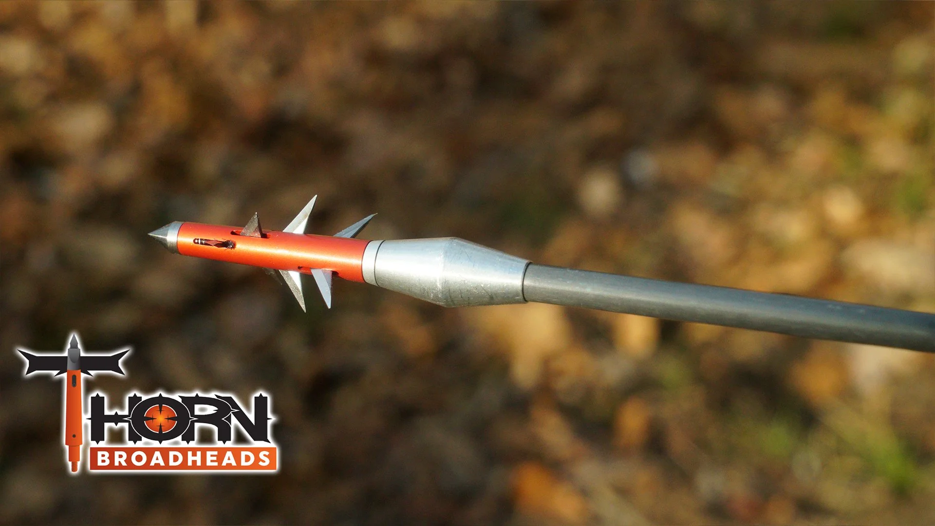 Thorn_CloseUp.jpg