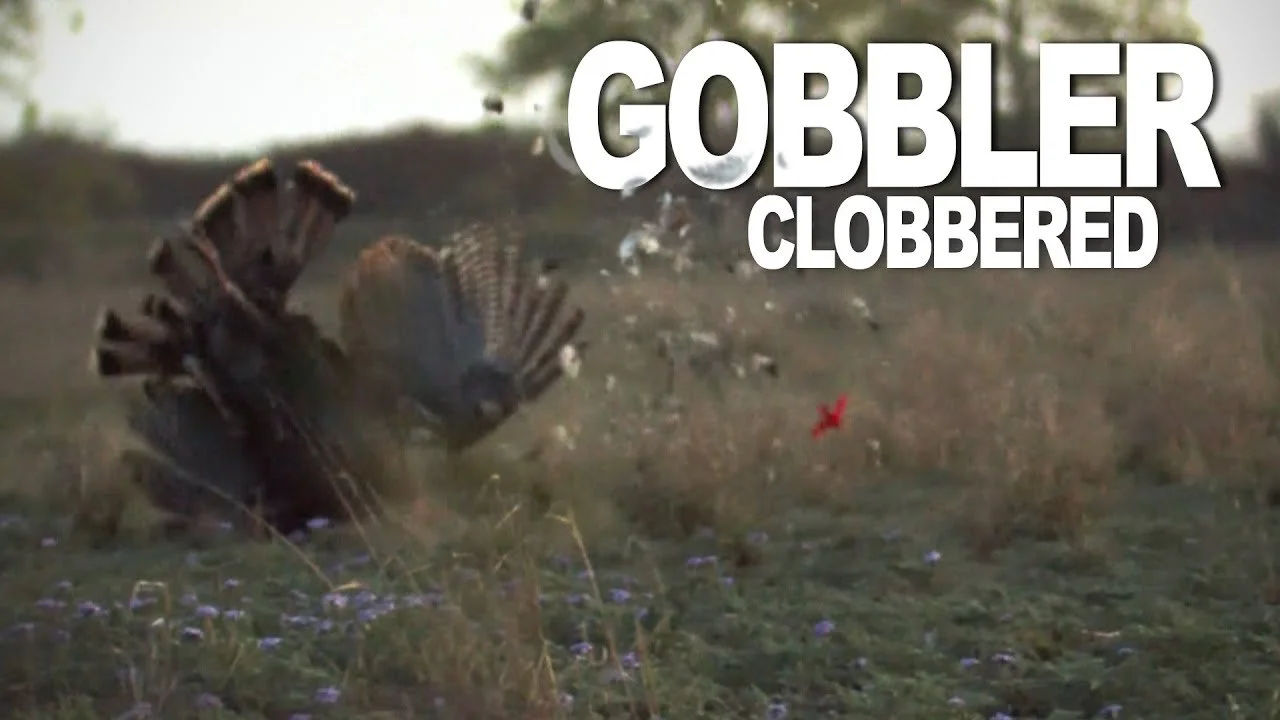 Gobbler HEAD EXPLOSION on Running Tom | Two Gobblers in 8 Minutes