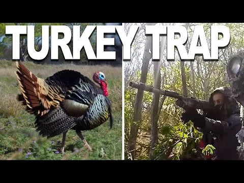 GOBBLER DOWN Girl Stands Up and Shoots Running Tom | Texas Turkey Hunting
