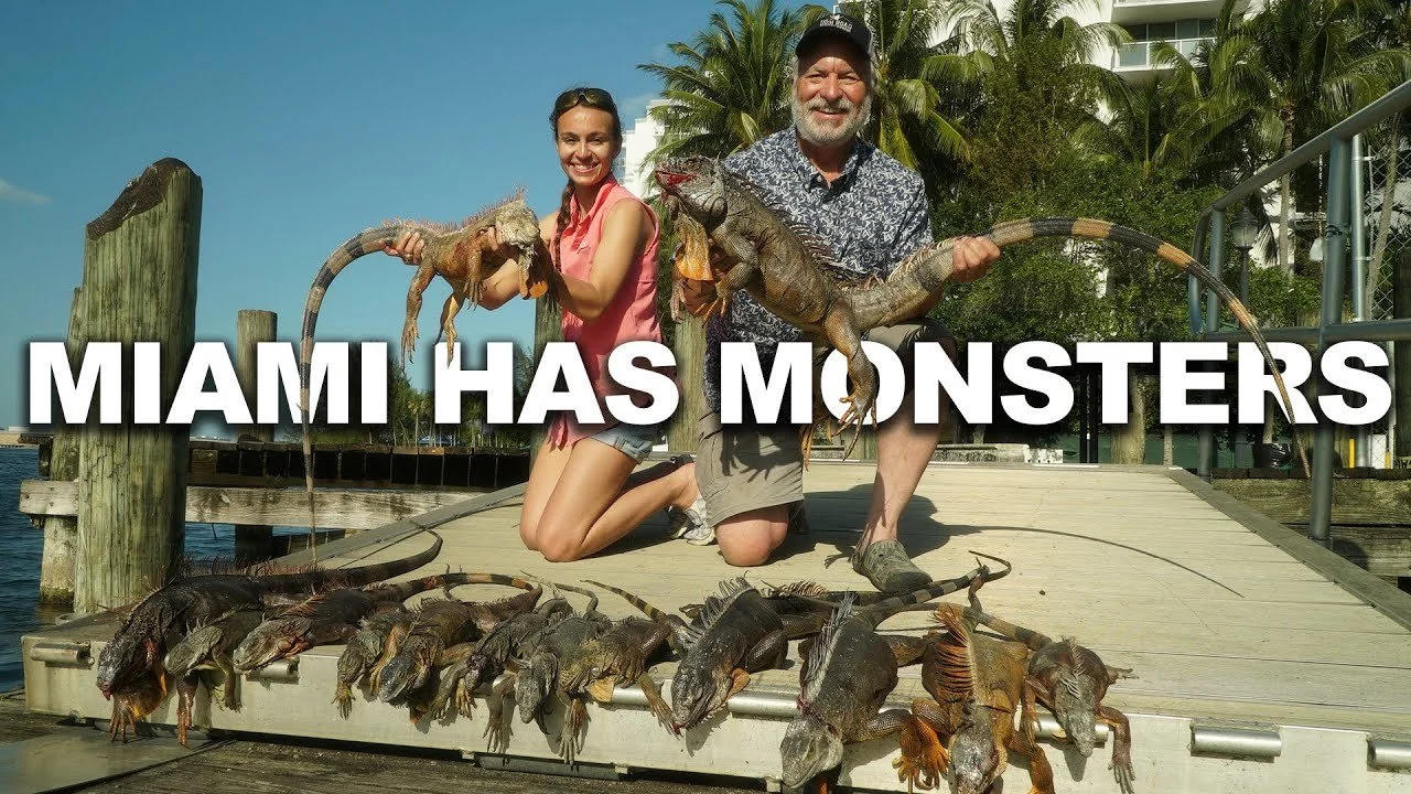 50 Cal AIR RIFLE vs GIANT IGUANAS