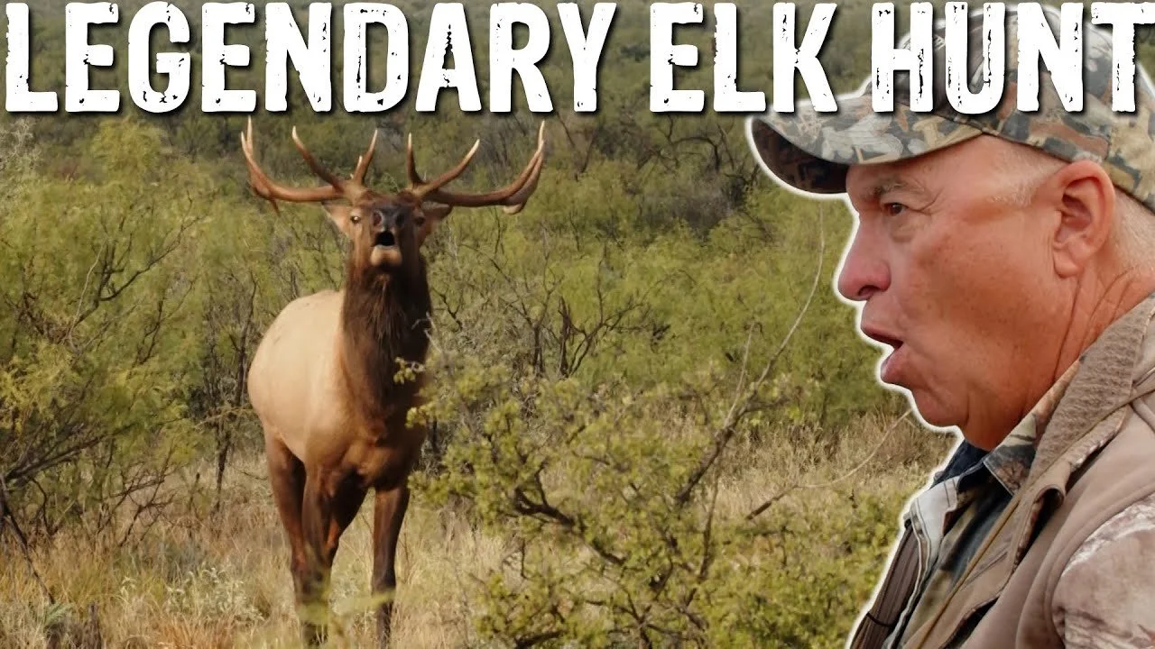 We Stalked an Elk for an ENTIRE YEAR | West Texas Elk Hunt