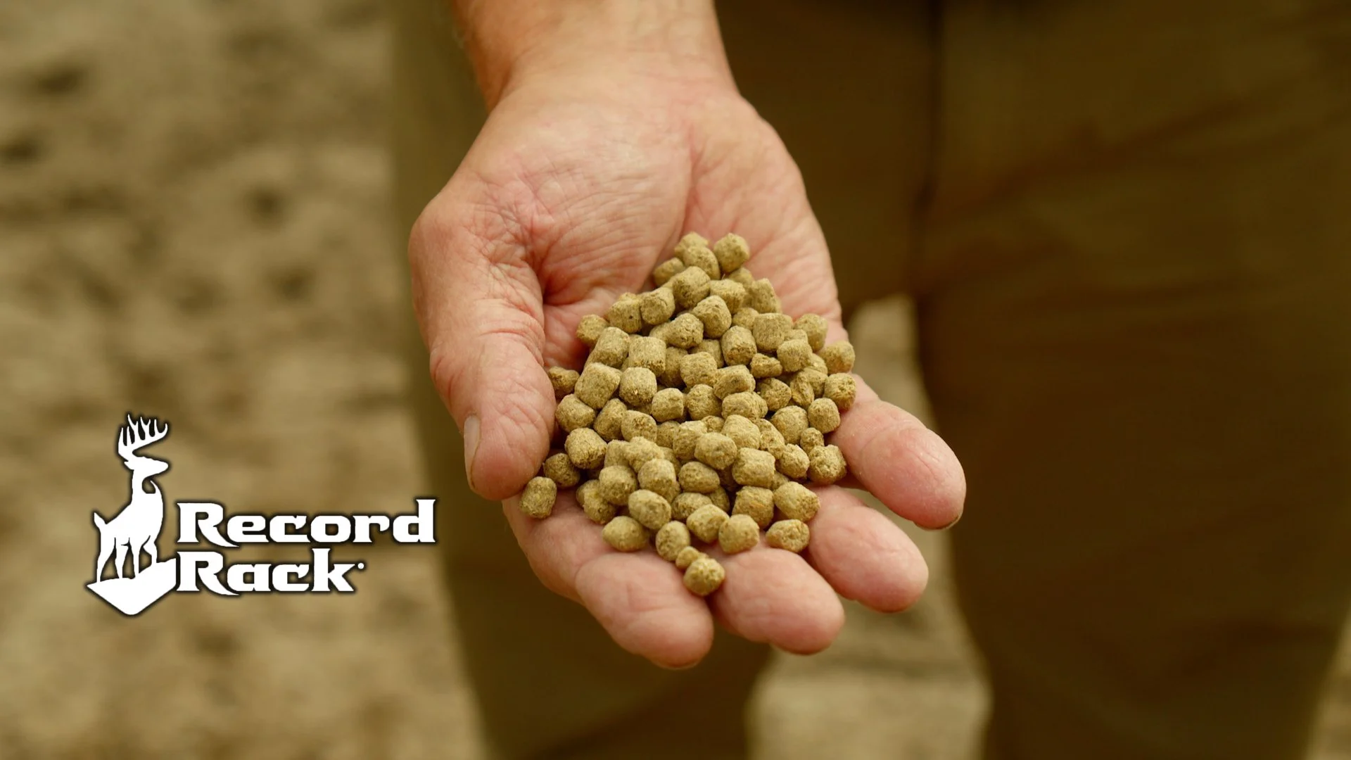 Record Rack Header Image 1.jpg