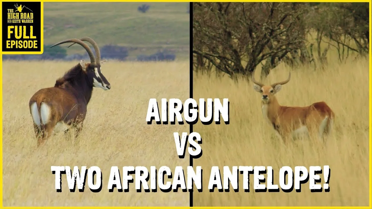 50 Caliber Airgun VS Two African Antelope