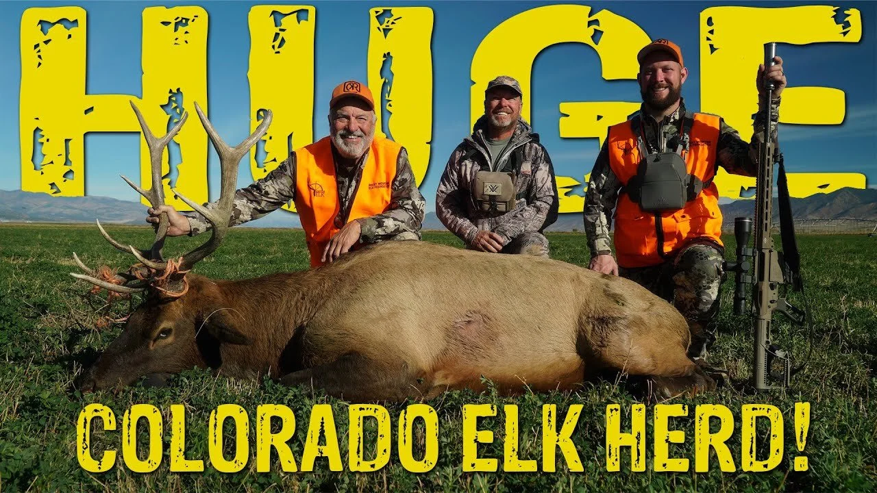 675 Yard Shot on Bull Elk!!