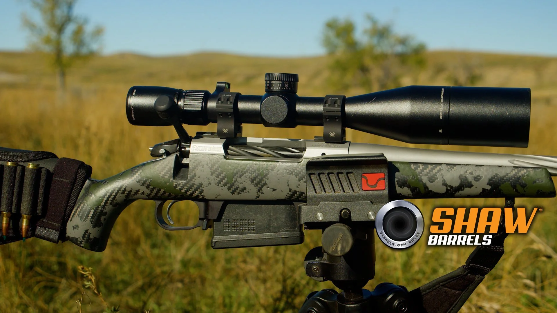 Shaw-6.jpg