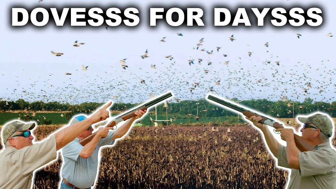 INSANE AMOUNT OF DOVES!! | South Texas Dove Hunt
