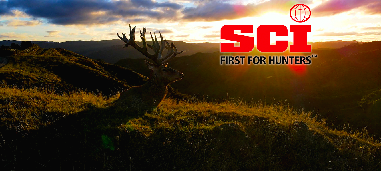 SCI Banner.png