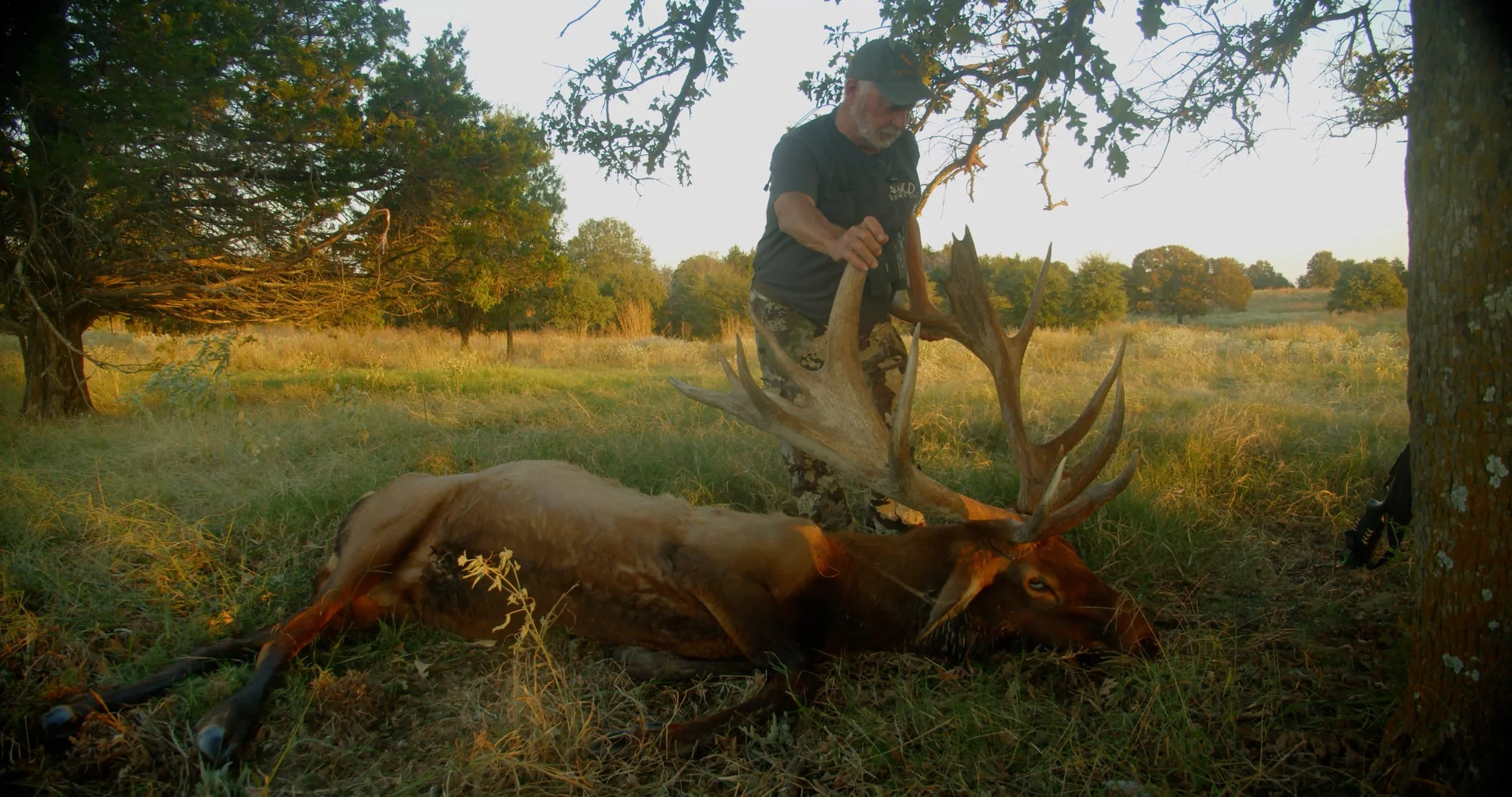 FID95_Venator Rafter P Elk and Red Stag-Day3-Black Magic-VID-A290_09071314_C164.mp4.13_14_01_17.Still001.jpg