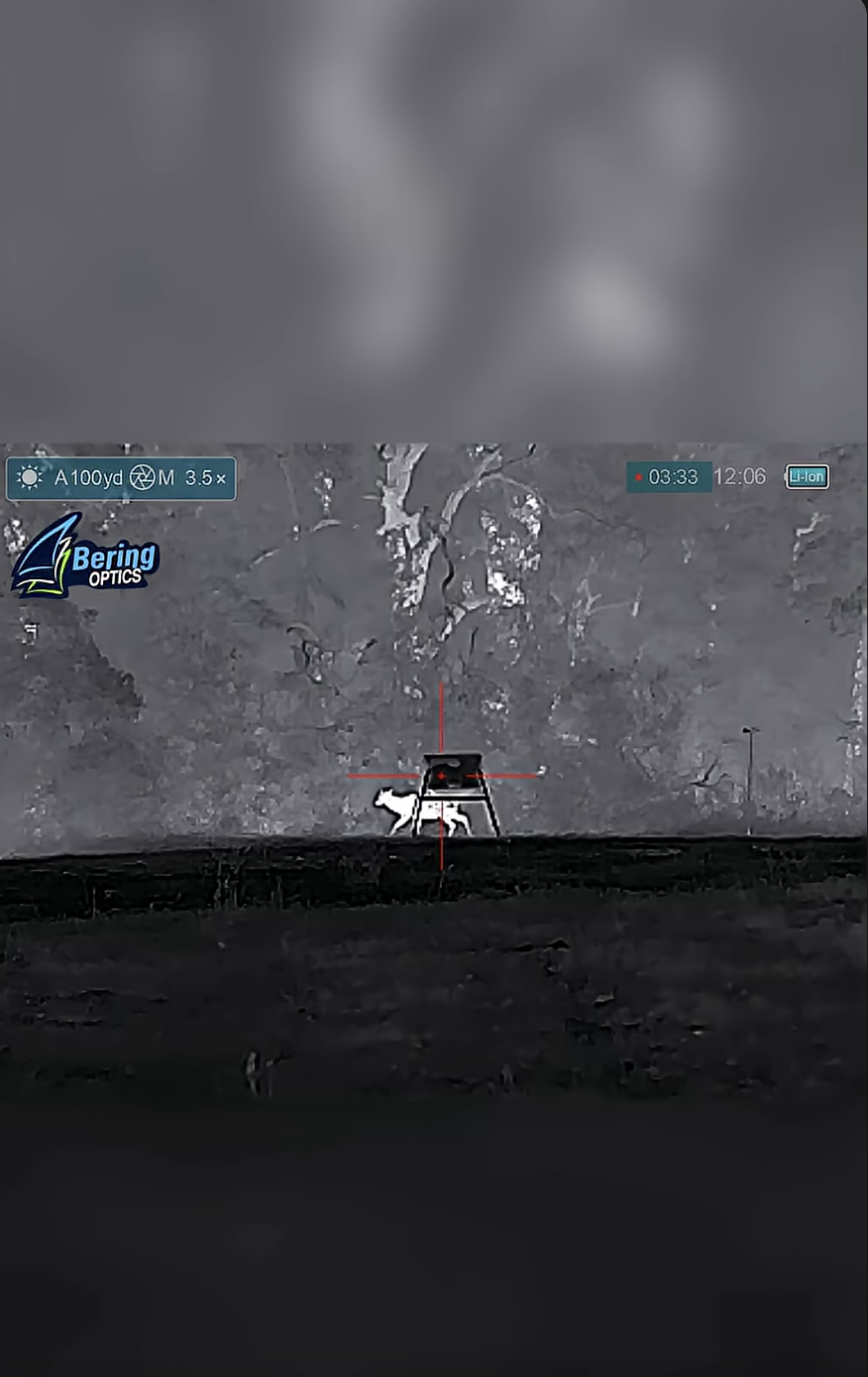THERMAL Buck KILLSHOT!