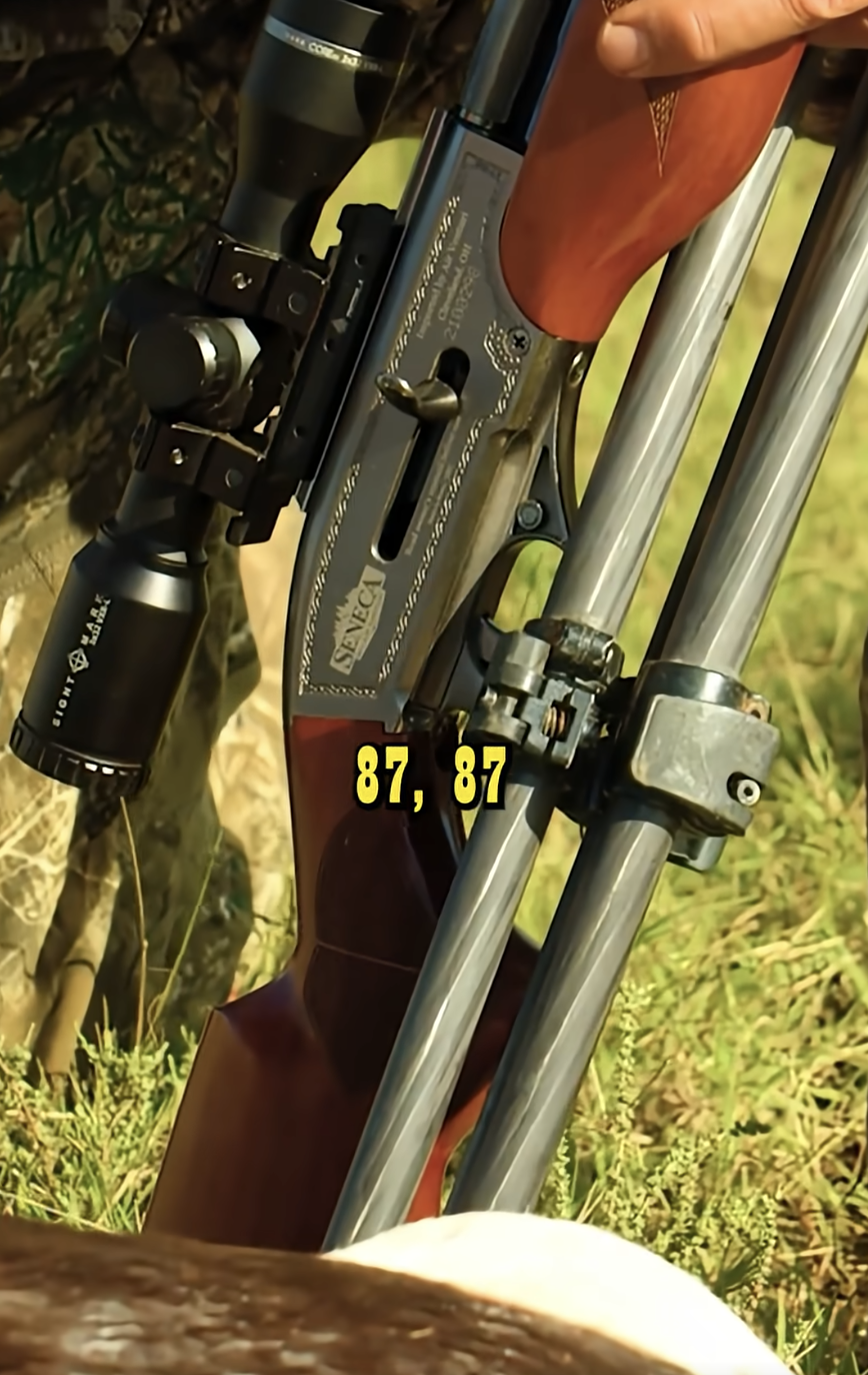 80+ yard Airgun Killshot! 