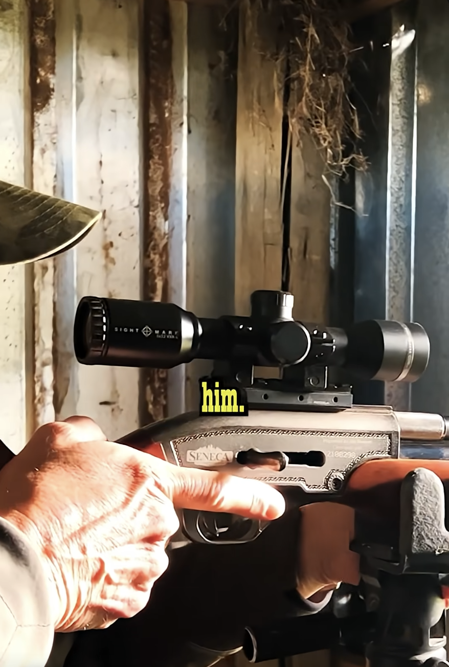 AIRGUN VS SPRINGBOK!