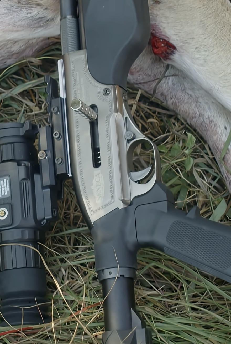 Want an air gun like mine?? 