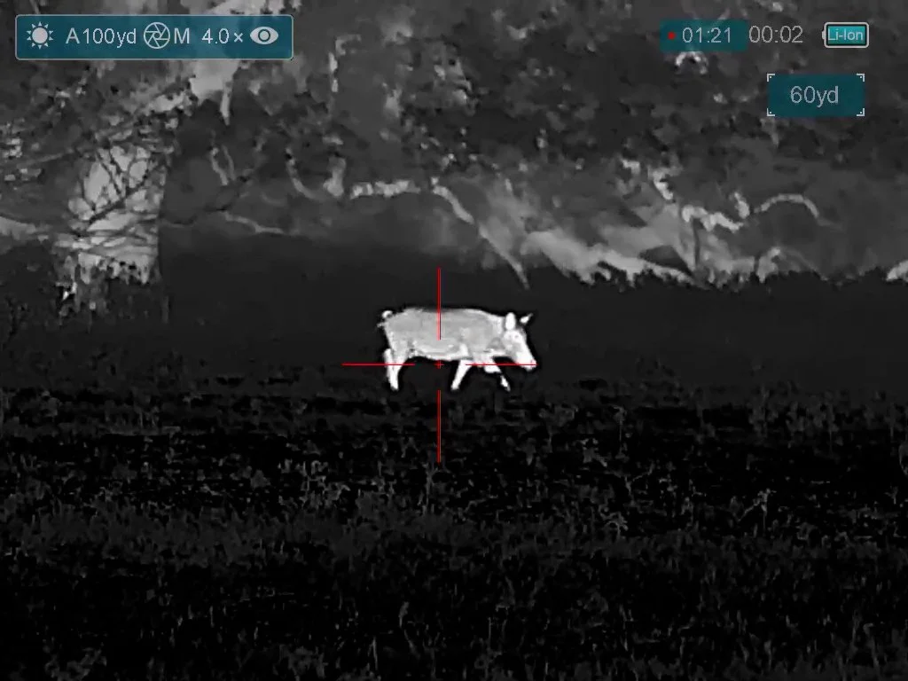 FID99_Sticky Holsters Hog Hunt 2025-Bering Backup-Super Yoter-Card1 Part 1-ViD-VID_000104.mp4.00_01_22_00.Still001.jpg