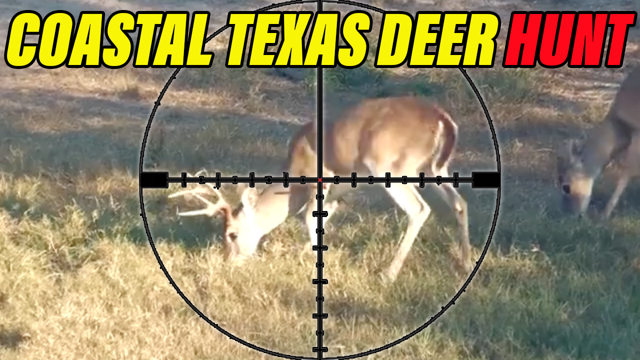 Texas Airgun Buck Hunt