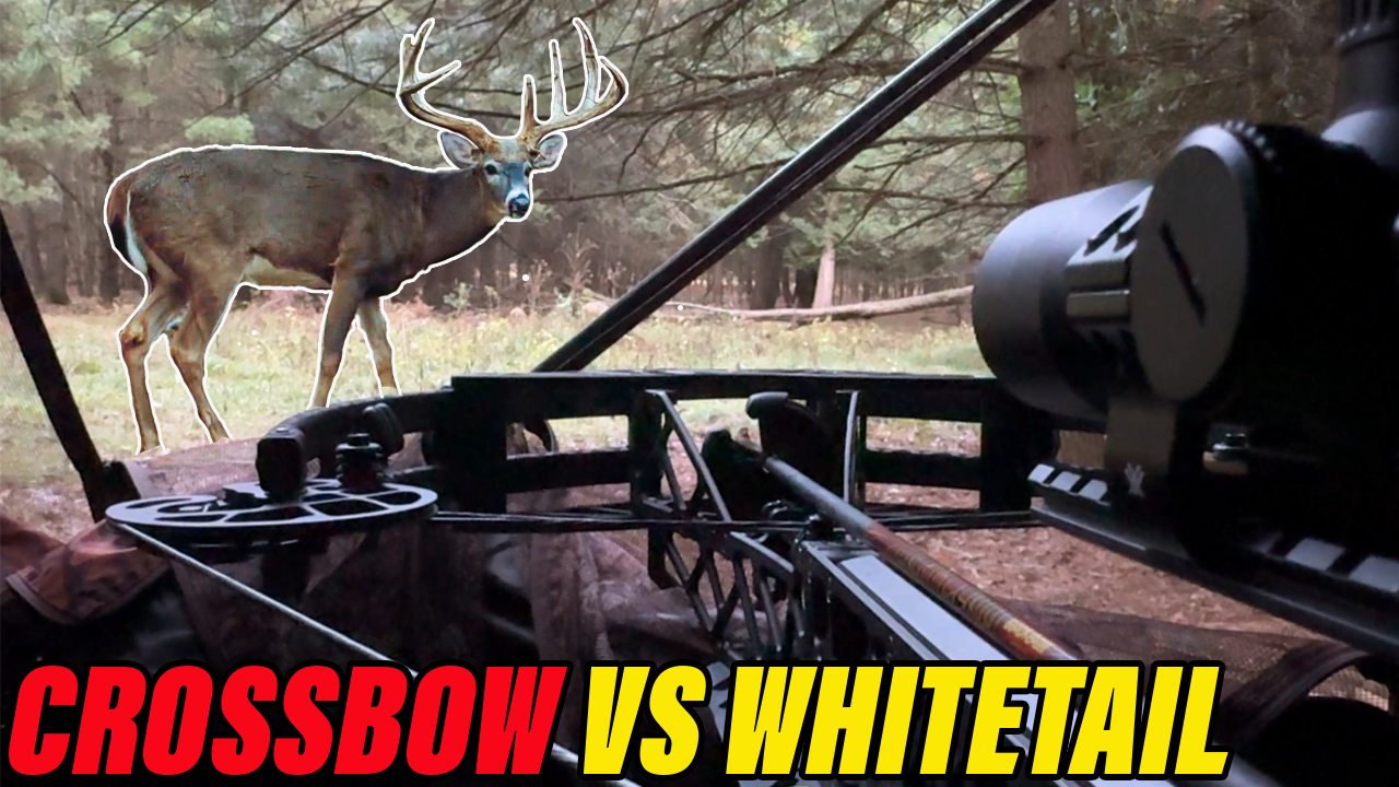I hunted a A Buck with 9 Lives! | Legends Ranch