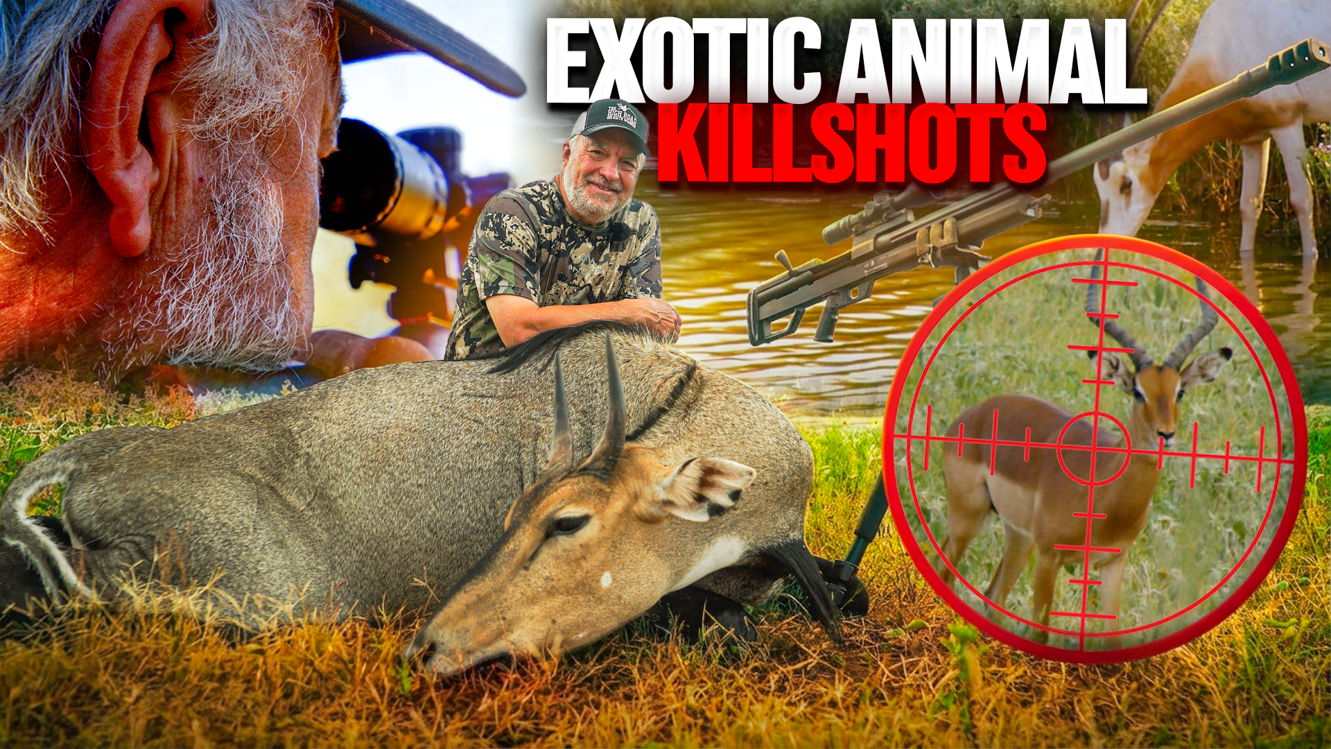 15 EXOTIC HUNTS! | We SMOKE a bunch of WEIRD animals!!