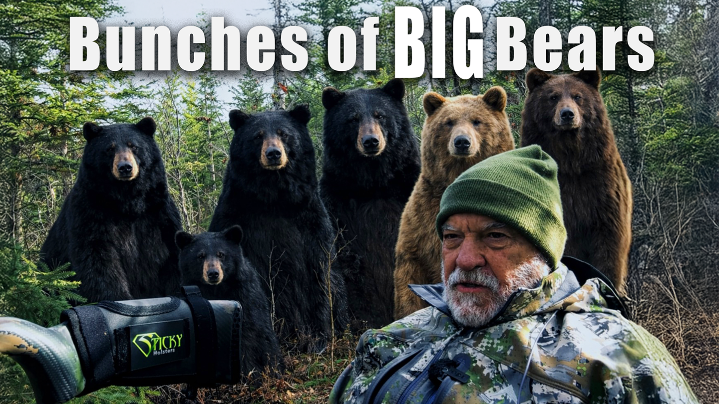 Bunches of BIG Bears