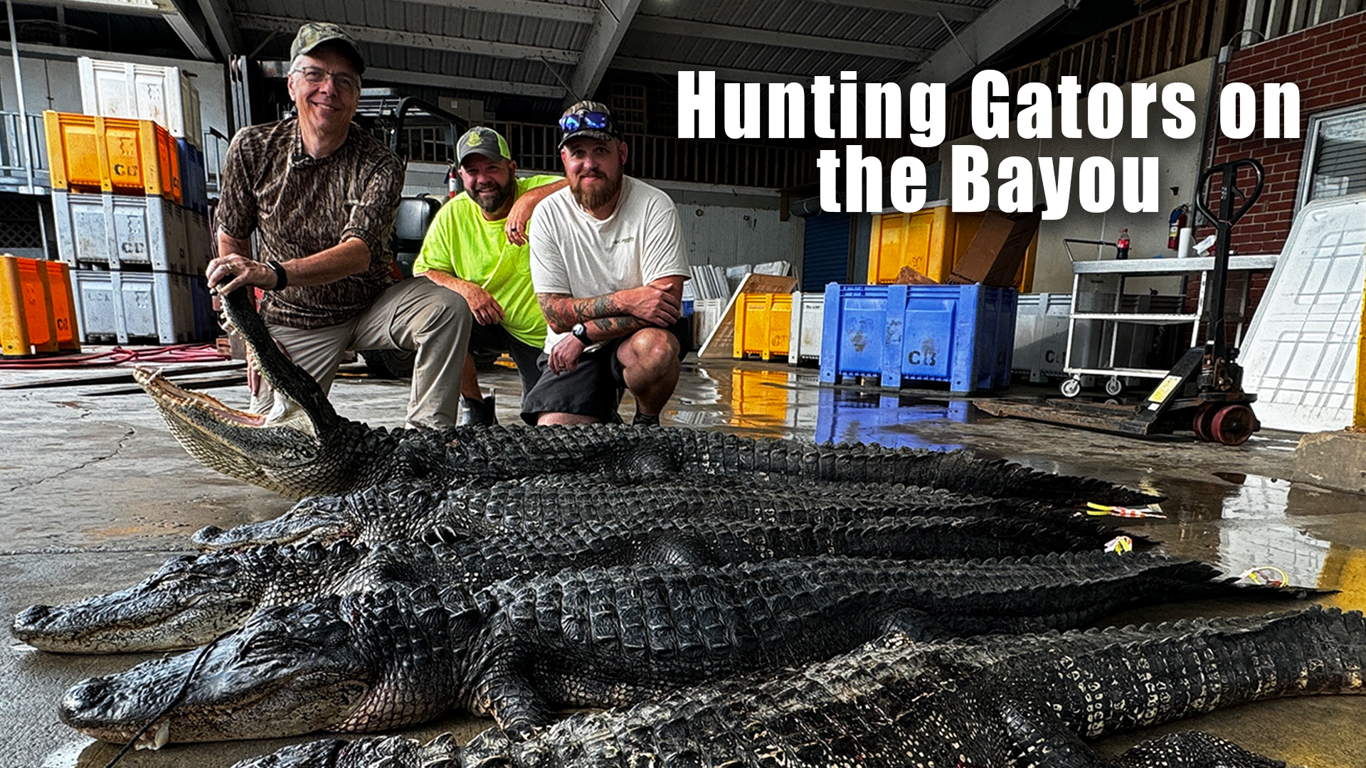 Hunting Gators on the Bayou