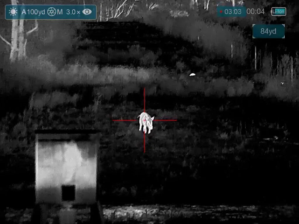 FID103_Bluff Ranch Compound Bows, MSRS and Airguns 2025-Bering Optics_JP Super Yoter-Card1-VID-VID_000110.mp4.00_03_04_00.Still001.jpg