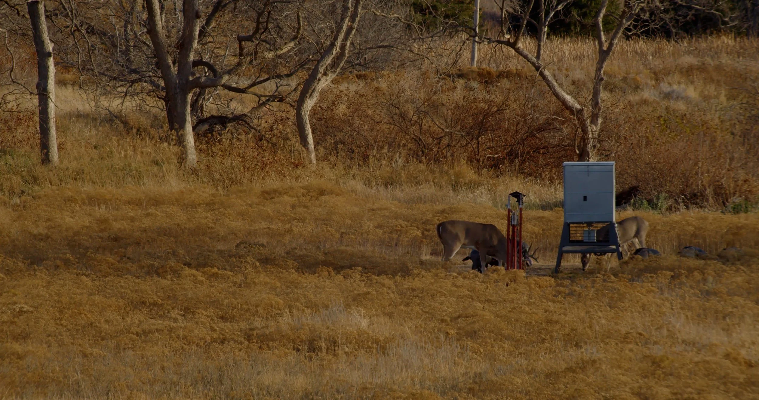 FID105_Whitetail 300 PRC Tank Blinds 2025-Day1-KW_Black Magic-VID-A311_10121002_C017.mp4.10_02_33_44.Still001.jpg