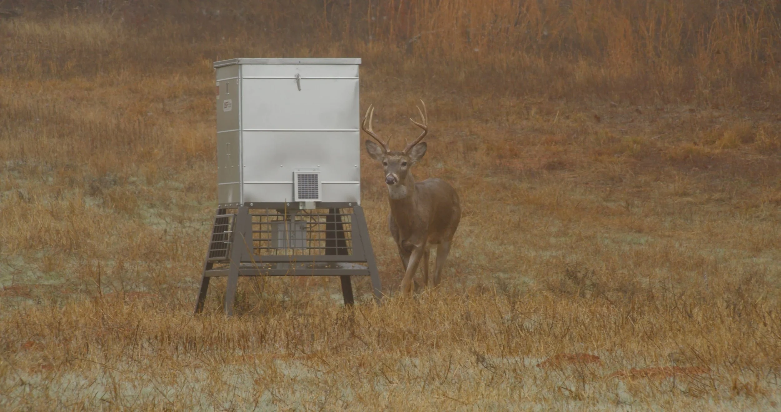 FID106_Mark Peeples Regufe Whitetail-Black Magic-VID-A316_11071508_C075.mp4.15_08_24_14.Still003.jpg
