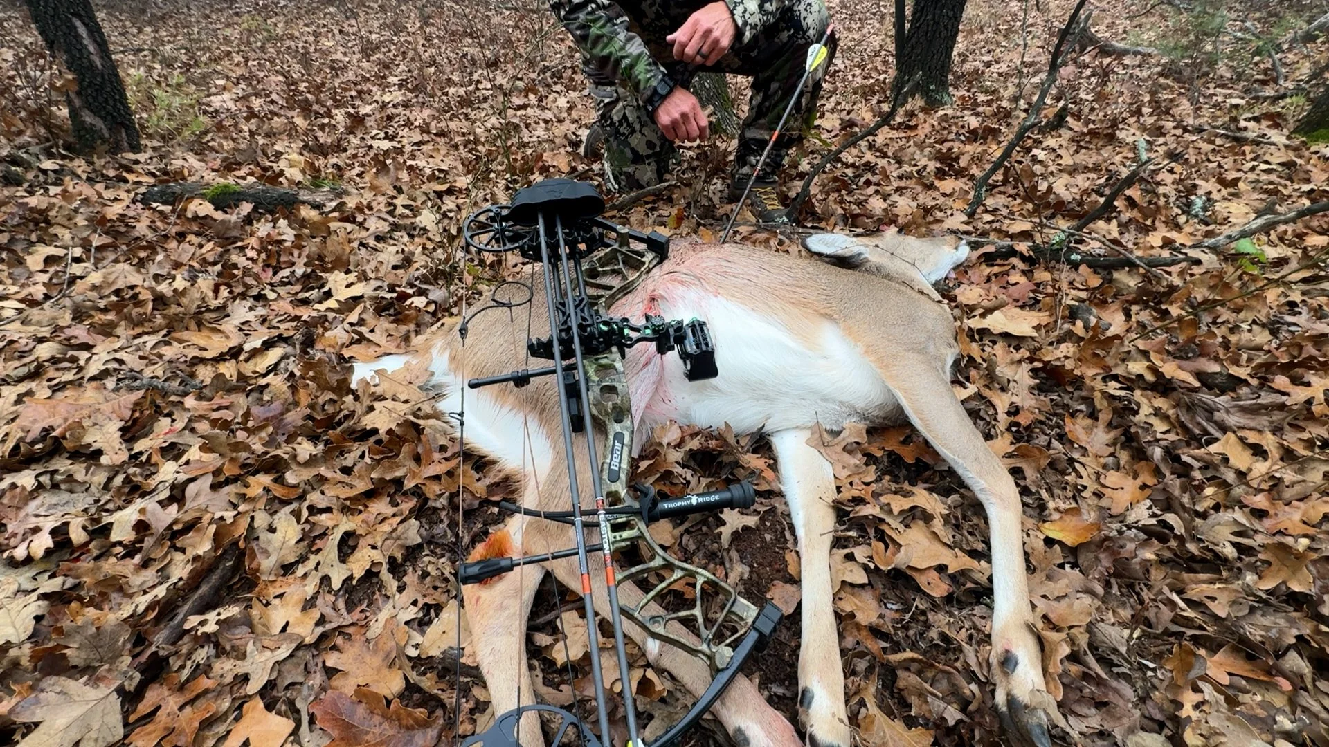 FID107_KW Doe Compound Bow Refuge 2025-iPhone-VID-IMG_6241 5.MOV.00_00_18_18.Still002.jpg