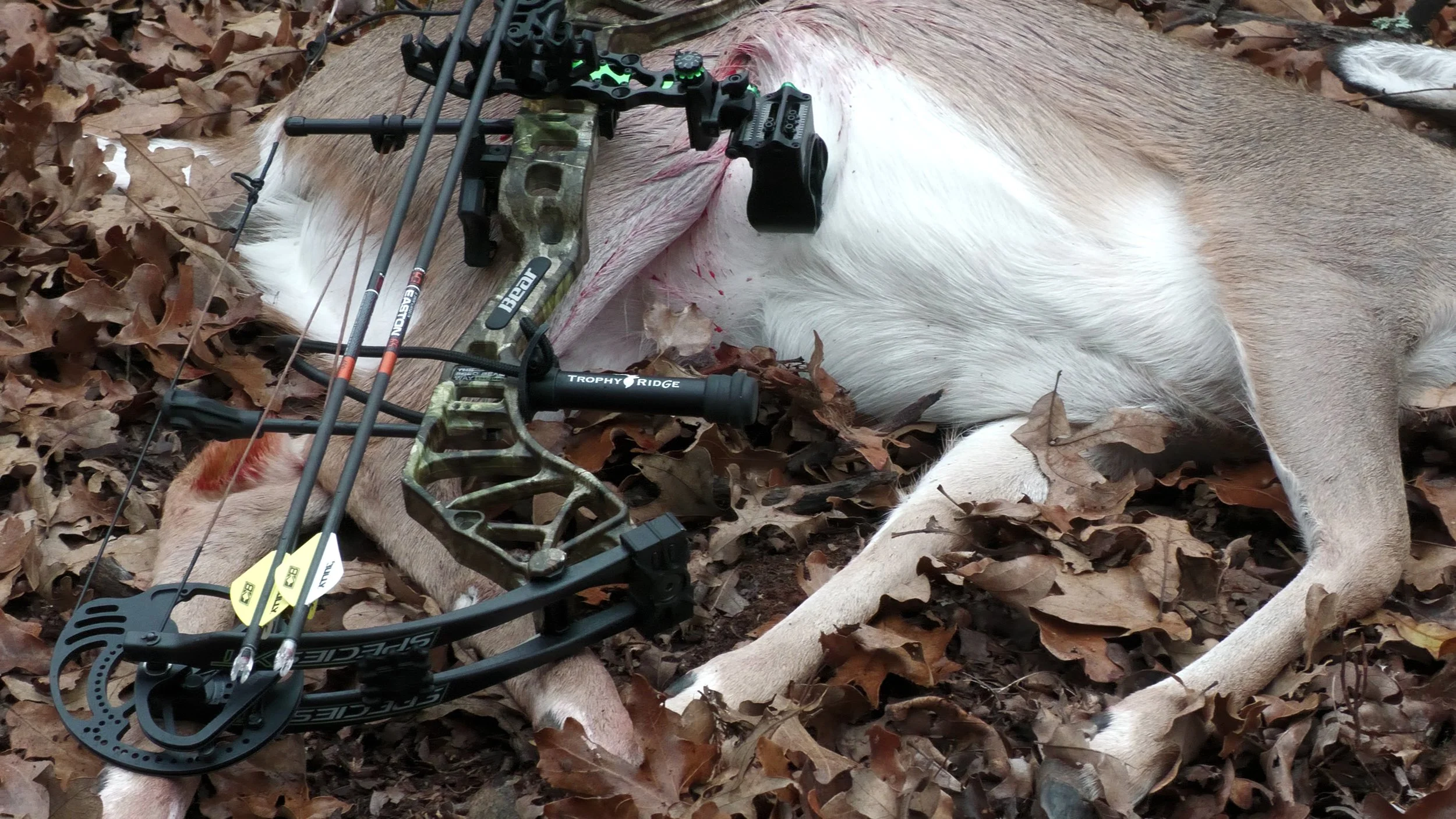 FID107_KW Doe Compound Bow Refuge 2025-P2X-VID-A141C070_251205_DJ0B.MP4.13_06_56_38.Still002.jpg