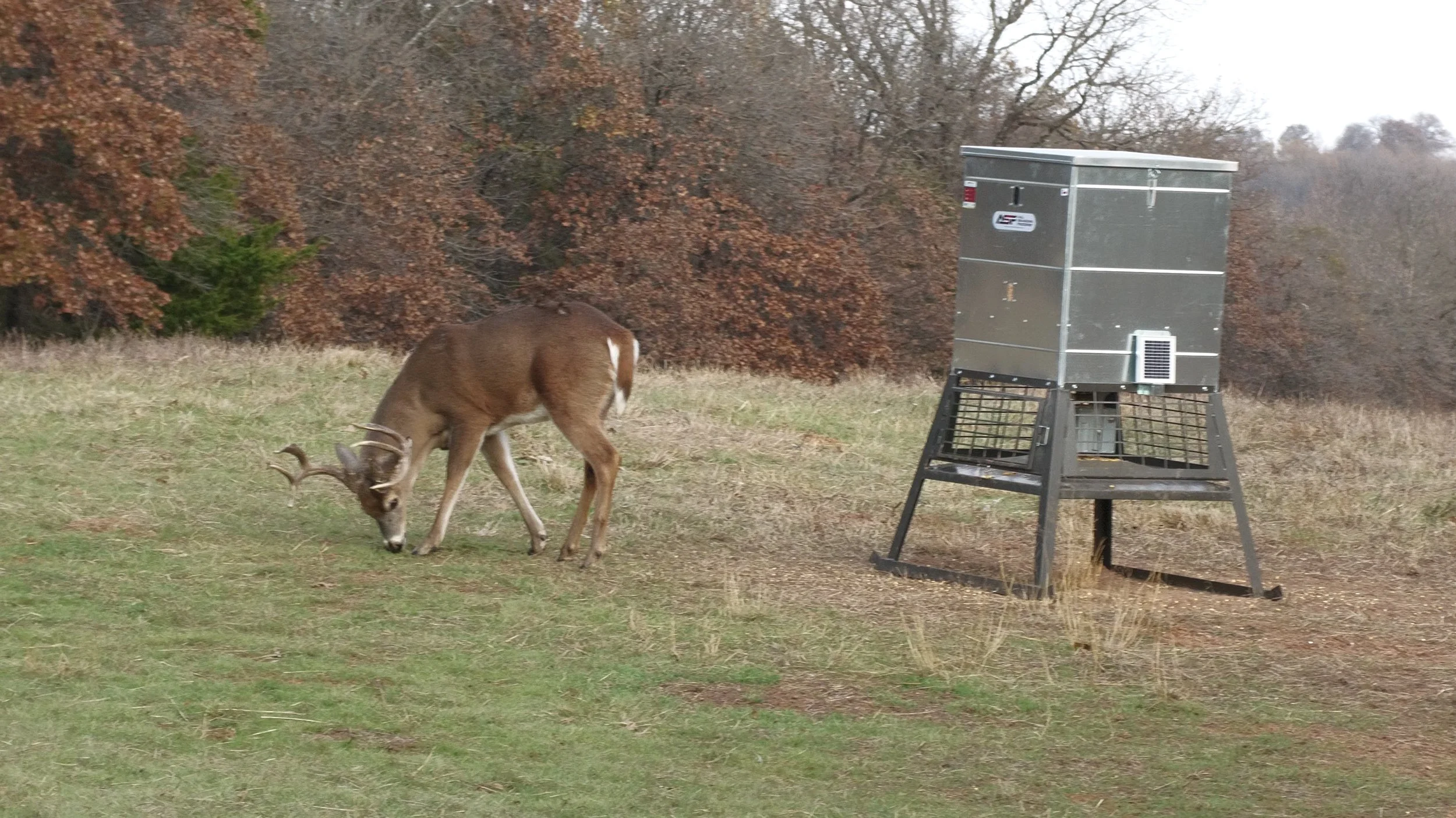 FID107_KW Doe Compound Bow Refuge 2025-P2X-VID-A141C009_251202_DJ0B.MP4.20_45_29_34.Still002.jpg